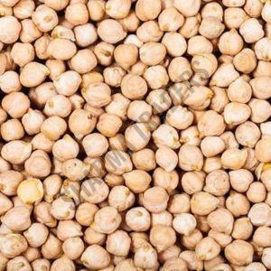 A Grade Kabuli Chana