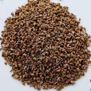 A Grade Whole Ajwain Seed