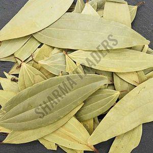 A Grade Whole Bay Leaf