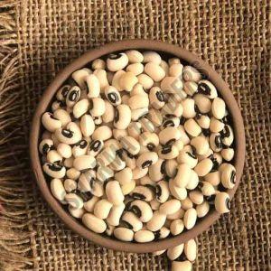 Black Eye Bean