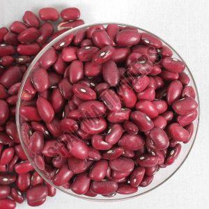 Kashmiri Kidney Bean