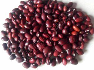 Red Kidney Beans