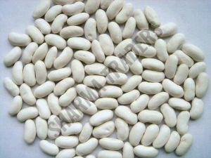 White Kidney Bean