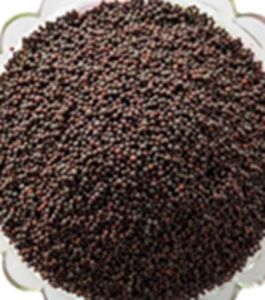 Mustard Seeds