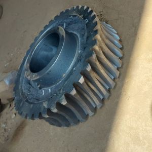 Worm Gear