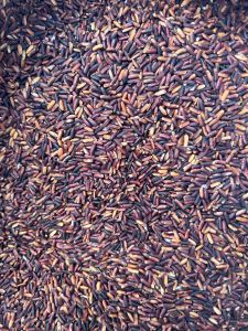 Black Rice