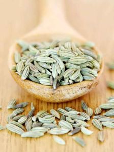 Fennel Seed