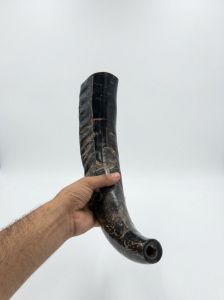 Blowing Horn