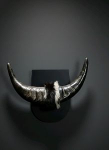 Buffalo Horn Decorative Piece