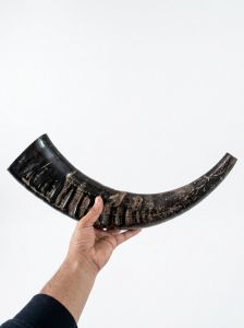 Blowing Horn