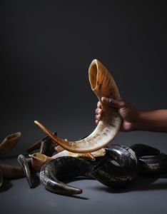 RAM Sheep Horn Shofar