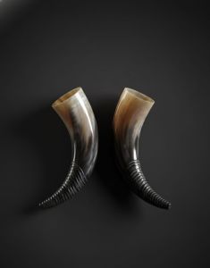 Drinking Horn