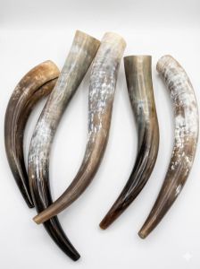 Viking Horn Ox