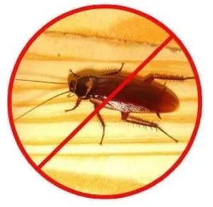 Cockroach Control Services