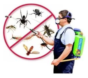 Mosquito Control Services