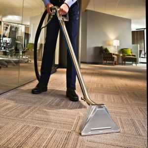 Rug Cleaning Services
