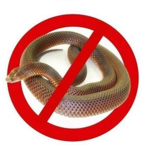 Snake Control Services