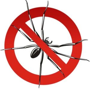 Spider Control Services