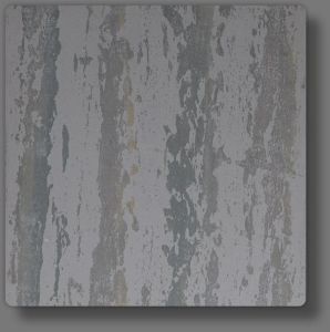 Italian Exterior Wall Texture