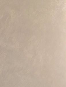 Micro Concrete Texture Wall Finish