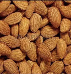 Almond Nuts