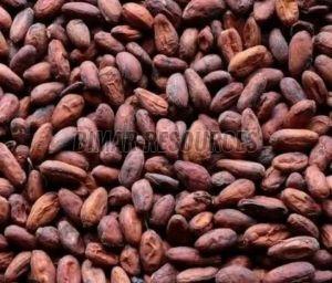 Brown Cocoa Beans