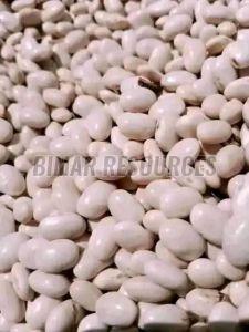 Premium Kidney Beans