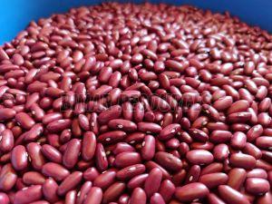 Premium Kidney Beans