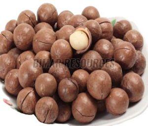Macadamia Nuts