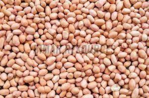 Premium Peanuts