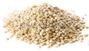Quinoa Seeds
