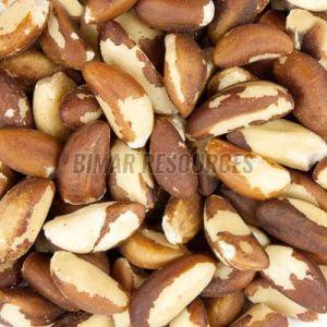 Raw Brazil Nuts