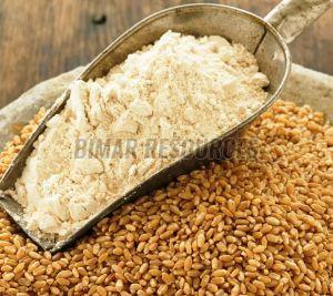 Wheat Flour