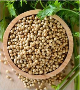Whole Coriander Seed