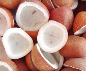 Dried Whole Coconut