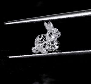 Rabbit Shape Lab Grown Diamond