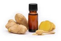 Ginger Essential Oil