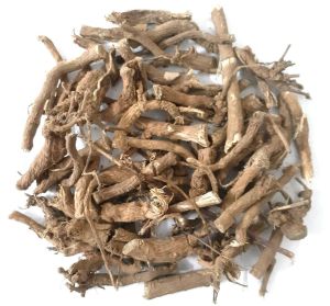 Punarnava Roots