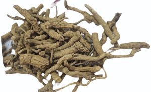 Sarpagandha Roots