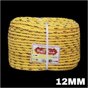 12mm Yellow Danline Ropes