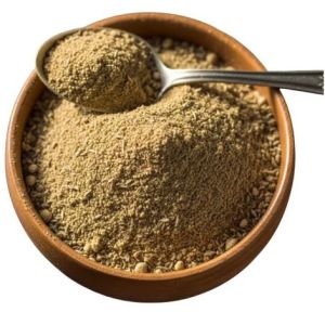 Raw Amchoor Powder
