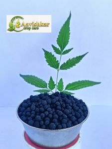 Black Bentonite Granule