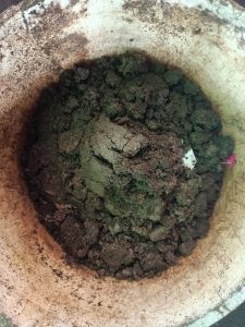 Used Tea