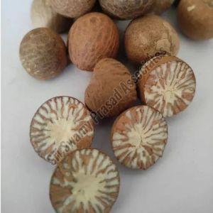 Dried Areca Nuts