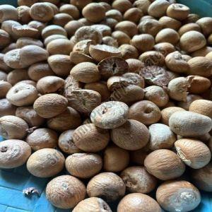 Natural Areca Nuts