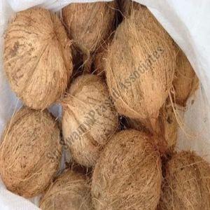 Semi Husked Coconut