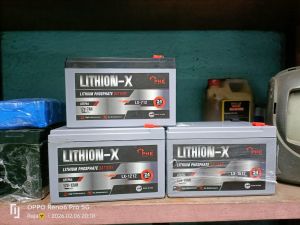 LX4548 Lithion-X Lithium Iron Phosphate Battery