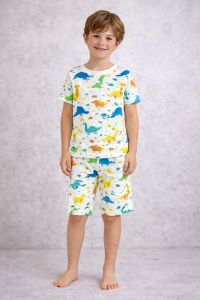 Boys Pajama Set