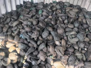 Industrial PP Raffia Lumps for Reprocessing