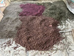 Polypropylene Grinded Lumps